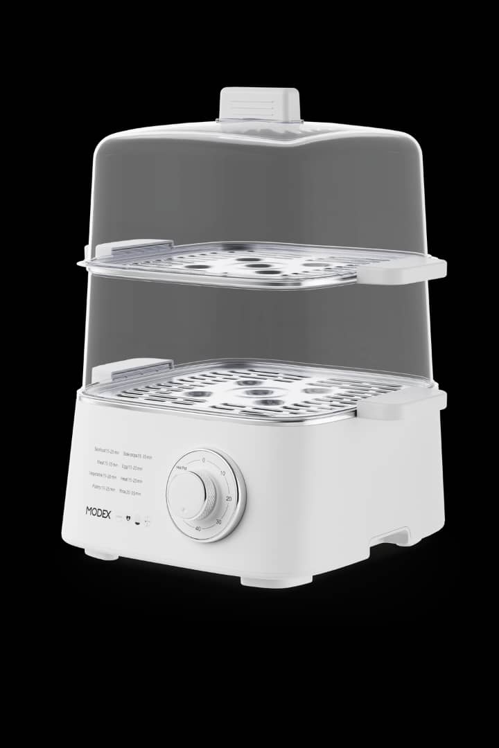 بخارپز مودکس مدل FS300